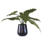 Uttermost Mari Calla Accent Plant | Planters, Troughs & Cachepots | Modishstore - 5