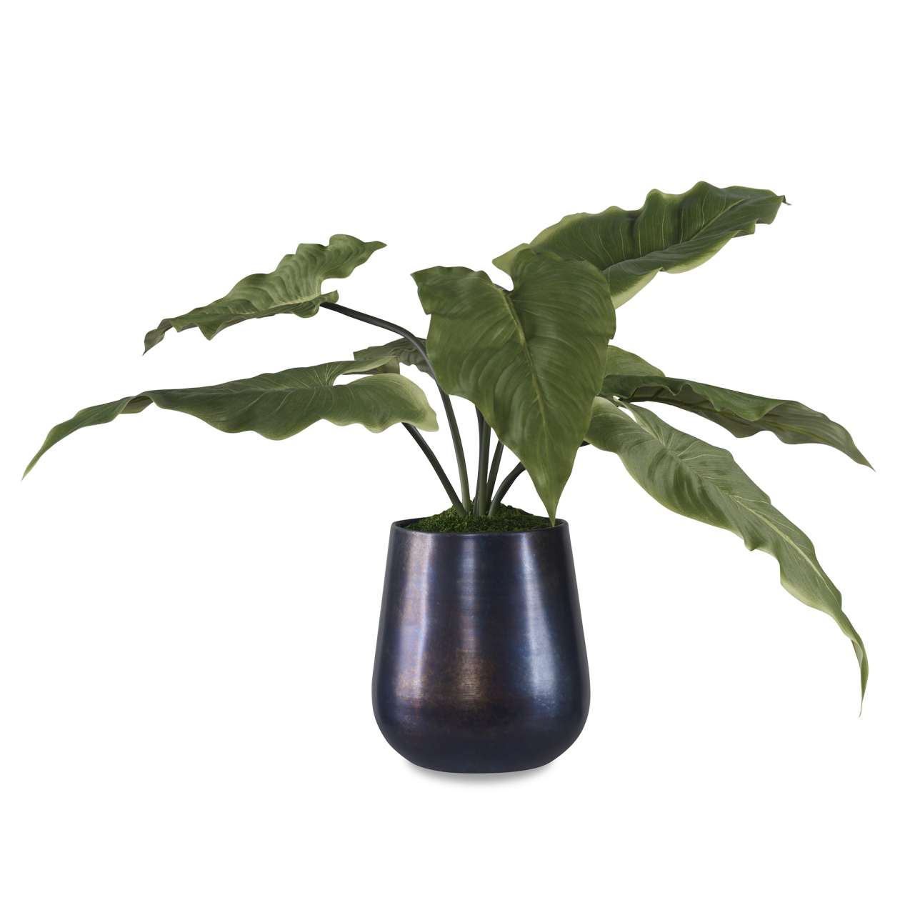 Uttermost Mari Calla Accent Plant | Planters, Troughs & Cachepots | Modishstore - 5