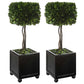 Uttermost Preserved Boxwood Square Topiaries, S/2 | Planters, Troughs & Cachepots | Modishstore - 3