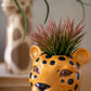 Ceramic Safari Animal Succulent Planters Set Of 3 By Kalalou-2