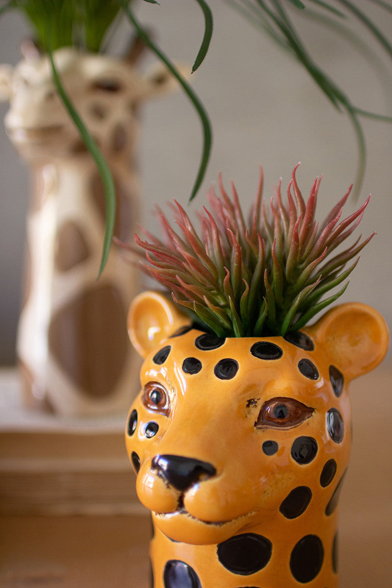 animal pots for succulents Ceramic Safari Animal Succulent Planters Set Of 3 By Kalalou