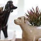 Ceramic Dog Planters Set Of 5 By Kalalou | Planters, Troughs & Cachepots | Modishstore - 5