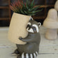 Ceramic Raccoon Planter By Kalalou | Planters, Troughs & Cachepots | Modishstore