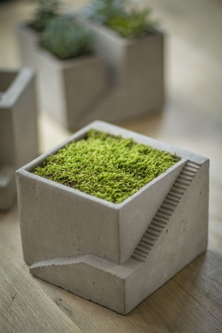 Vagabond Vintage Cement Planter, Architectural Cube I- Set of 2 | Modishstore | Planters, Troughs & Cachepots