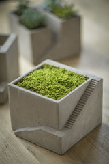 Vagabond Vintage Cement Planter, Architectural Cube I
