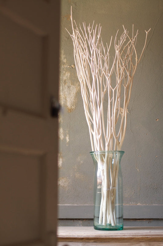 Kalalou Bleached Willow Branches | Modishstore | Botanicals