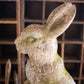 Faux Concrete Rabbit - Head Forward By Kalalou | Animals & Pets | Modishstore - 3