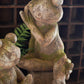 Faux Concrete Frog - Large By Kalalou | Animals & Pets | Modishstore
