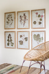 Kalalou Leaf Prints Under Glass - Set Of 6