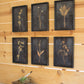 Botanical Prints Under Glass Set Of 6 By Kalalou | Modishstore | Wall Art