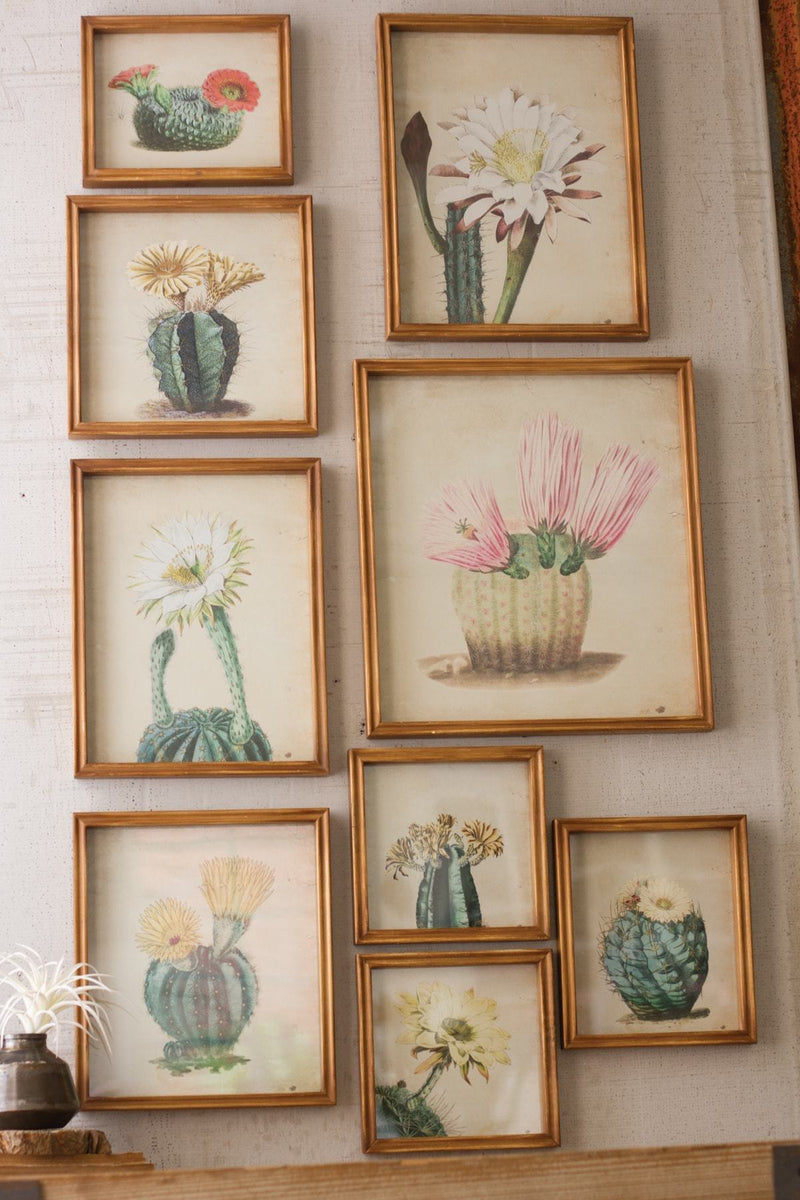 Kalalou Set Of 9 Cactus Flower Prints Under Glass | Modishstore | Wall Art