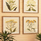 framed flower prints under glass Set Of 4 By Kalalou-2