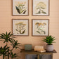 framed flower prints under glass Set Of 4 By Kalalou | Modishstore | Frames