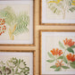 Flower Prints Under Glass Set Of 4 By Kalalou | Wall Decor |  Modishstore  - 2
