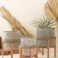 woven metal planters with wood stands Set of 3 By Kalalou-3