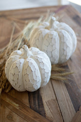 Faux Whitewash Pumpkins Set Of 2 By Kalalou