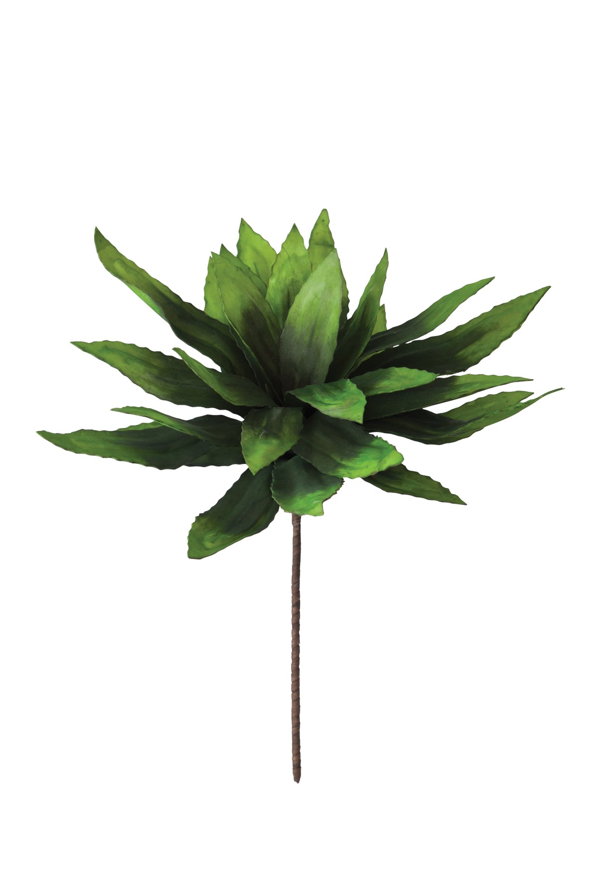 Kalalou Botancia (Set of 4) | Modishstore | Botanicals