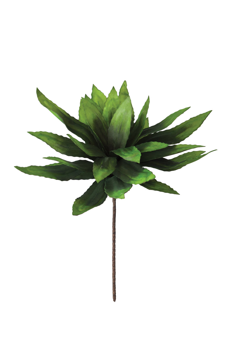 Kalalou Botancia (Set of 4) | Modishstore | Botanicals