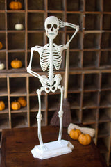 Rustic White Metal Skeleton On A Stand By Kalalou
