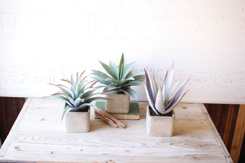 large artificial succulent plants Kalalou Large Artificial Succulents In Square Pots - Set Of 3