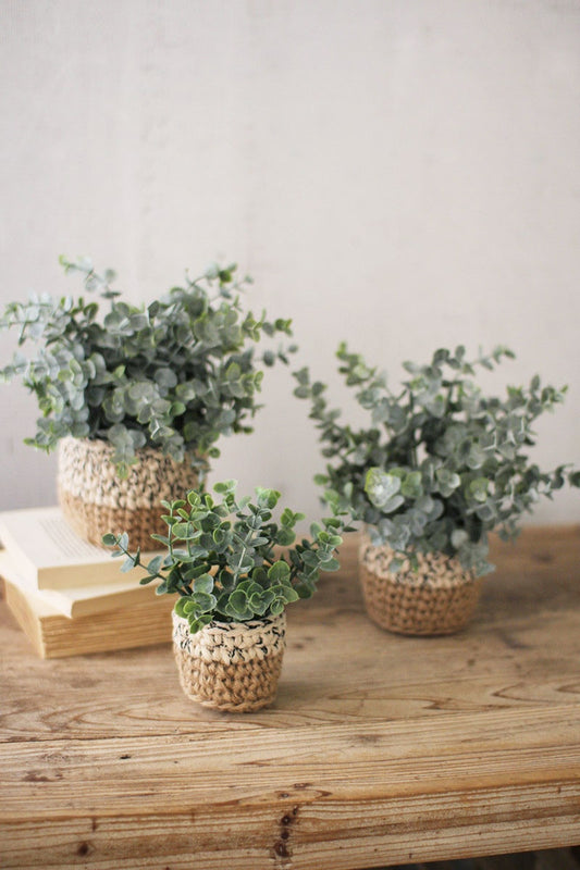 Artificial Eucalyptus Plants In Woven Pots by Kalalou | Modishstore | Botanicals