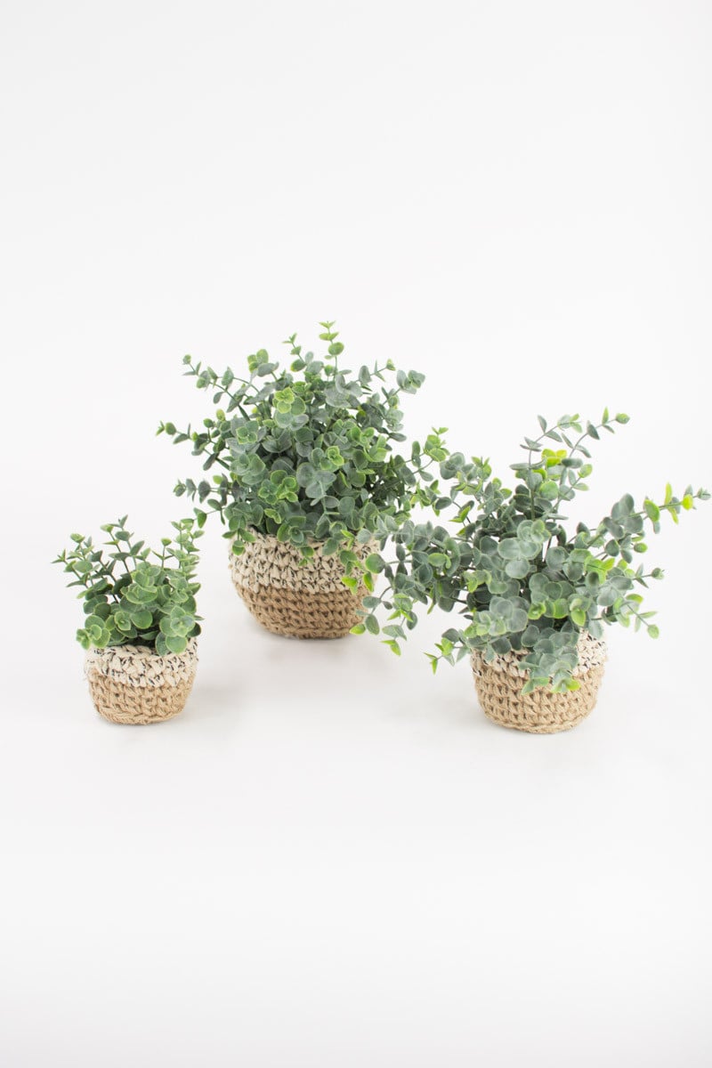 Artificial Eucalyptus Plants In Woven Pots by Kalalou-2