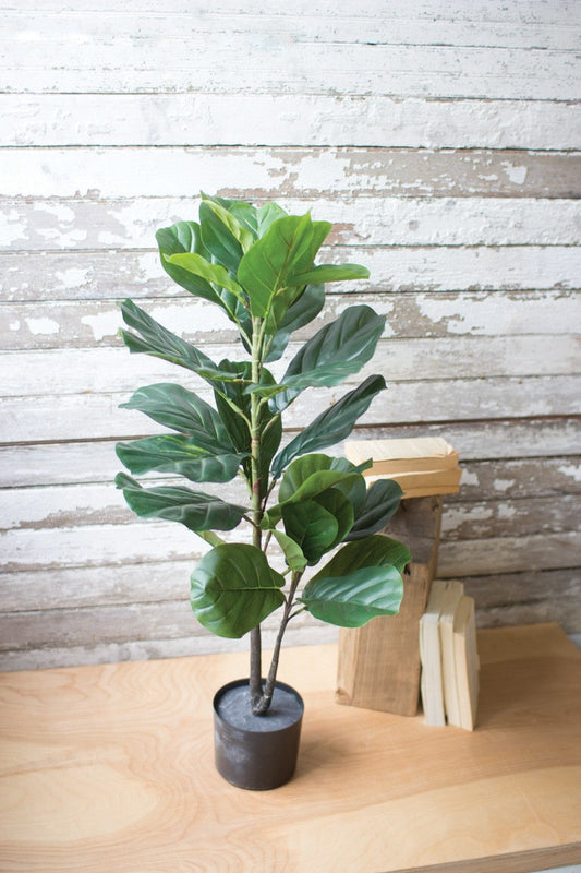 Artificial Fiddle Leaf Fig In A Pot by Kalalou | Modishstore | Botanicals