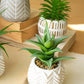 Artificial Succulents In Cement Pots Set Of 6 By Kalalou | Planters, Troughs & Cachepots | Modishstore - 3