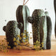 Roost Saguaro & San Pedro Cactus Vase