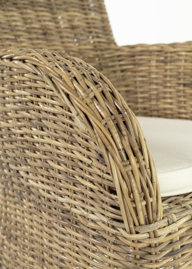 Rook Dining Chair (Set of 2) By Novasolo - CR11 | Dining Chairs | Modishstore - 7