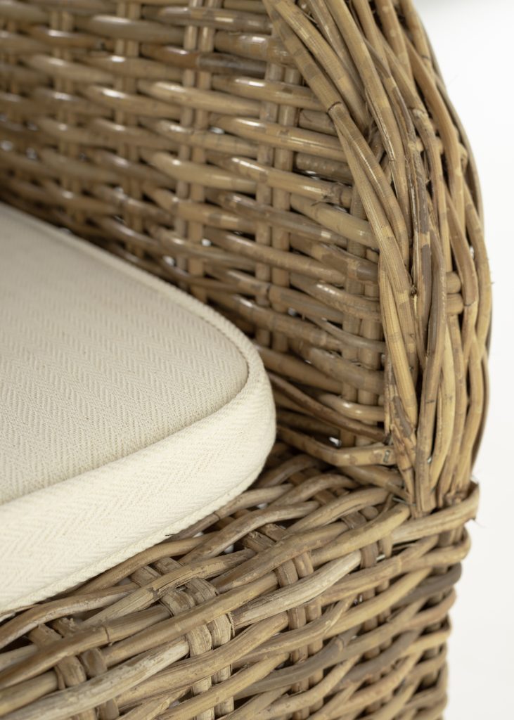 Rook Dining Chair (Set of 2) By Novasolo - CR11 | Dining Chairs | Modishstore - 6