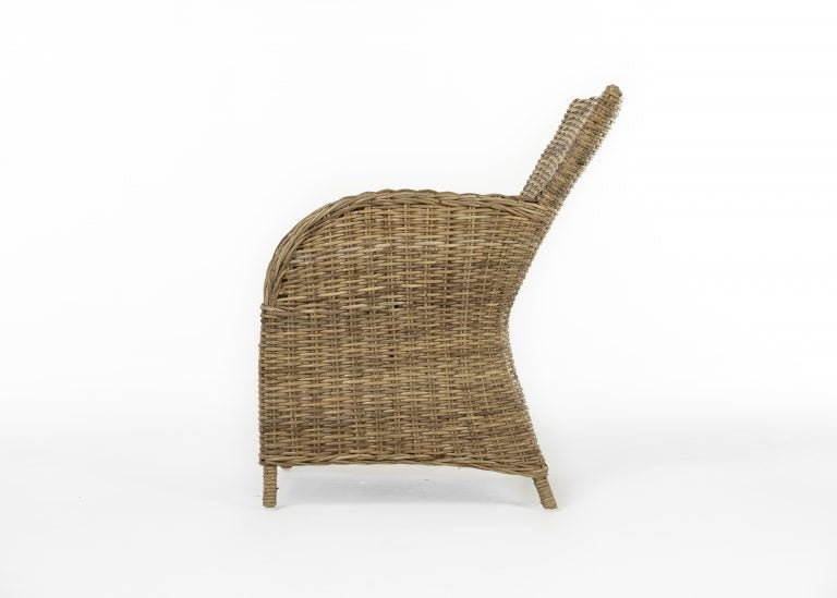 Rook Dining Chair (Set of 2) By Novasolo - CR11 | Dining Chairs | Modishstore - 3