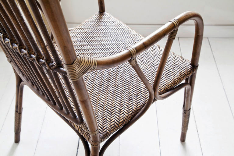 Duke Chair (Set of 2) By Novasolo - CR46 | Dining Chairs | Modishstore - 3