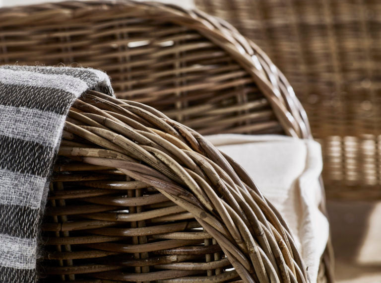 Baron Chair (Set of 2) By Novasolo - CR52 | Armchairs | Modishstore - 11