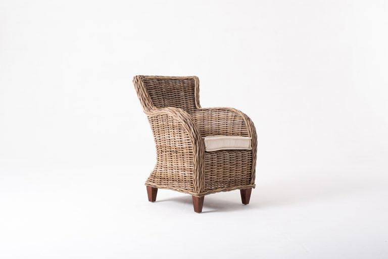 Baron Chair (Set of 2) By Novasolo - CR52 | Armchairs | Modishstore - 9