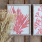 Coral prints with wooden frames Set Of 4 By Kalalou-2
