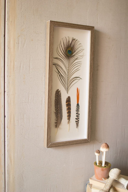 Kalalou Framed Feathers Under Glass | Modishstore | Wall Decor