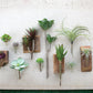 Kalalou Artificial Paddle Plant (6 eas per box) | Modishstore | Botanicals
