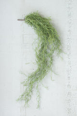 Kalalou Artificial Green Moss - Set Of 6