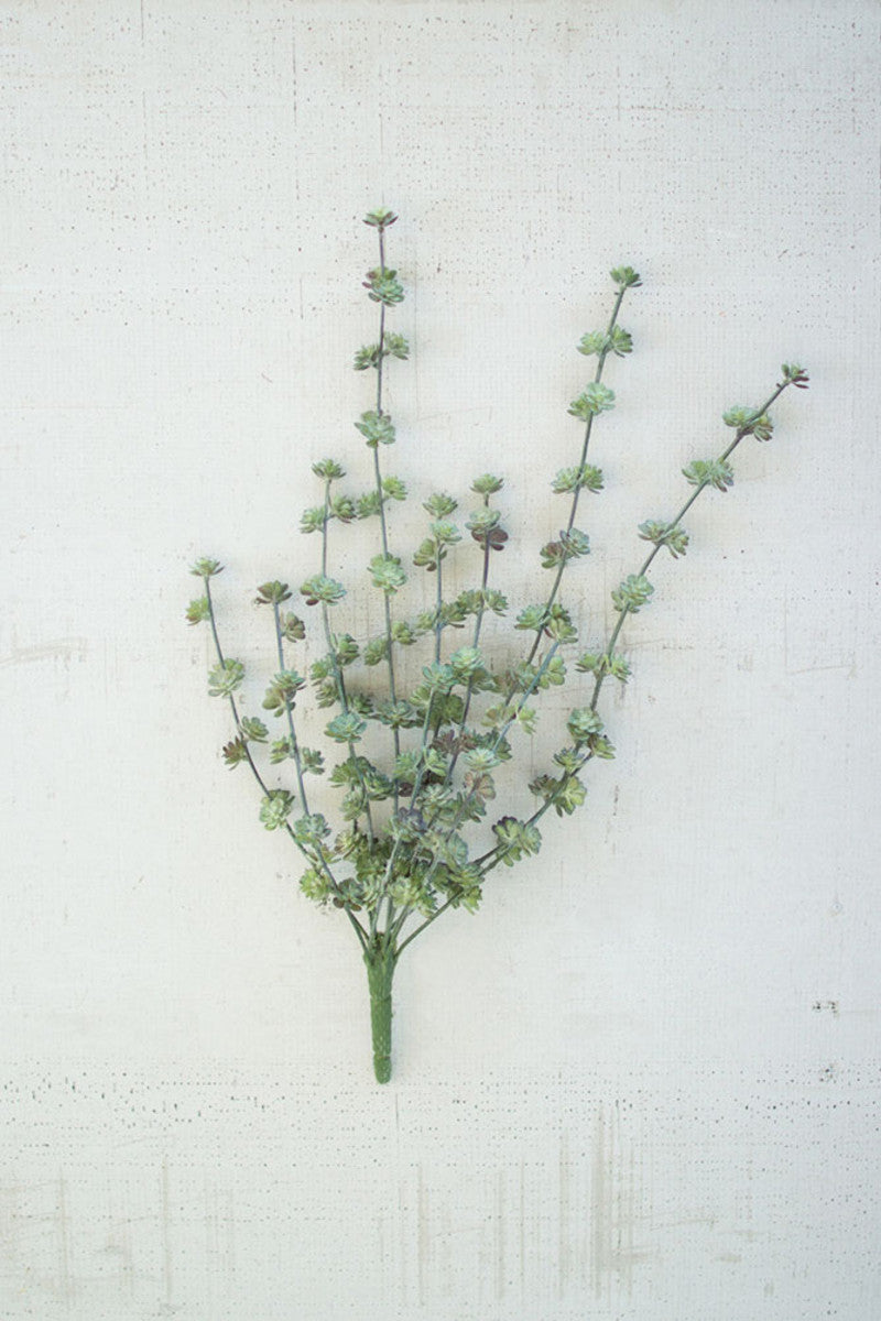 Kalalou Succulent Bush - Set of 6 | Modishstore | Botanicals