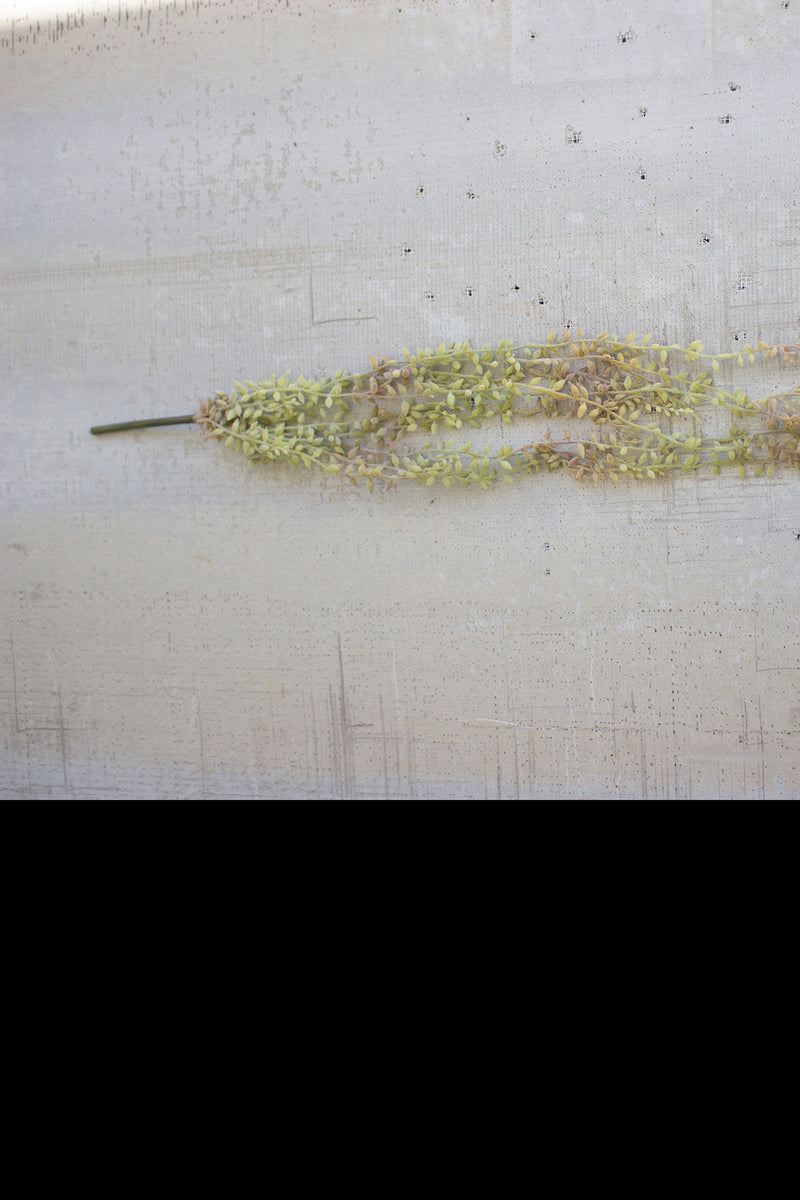 Kalalou 30" Necklace Plant (6 eas per box) | Modishstore | Botanicals