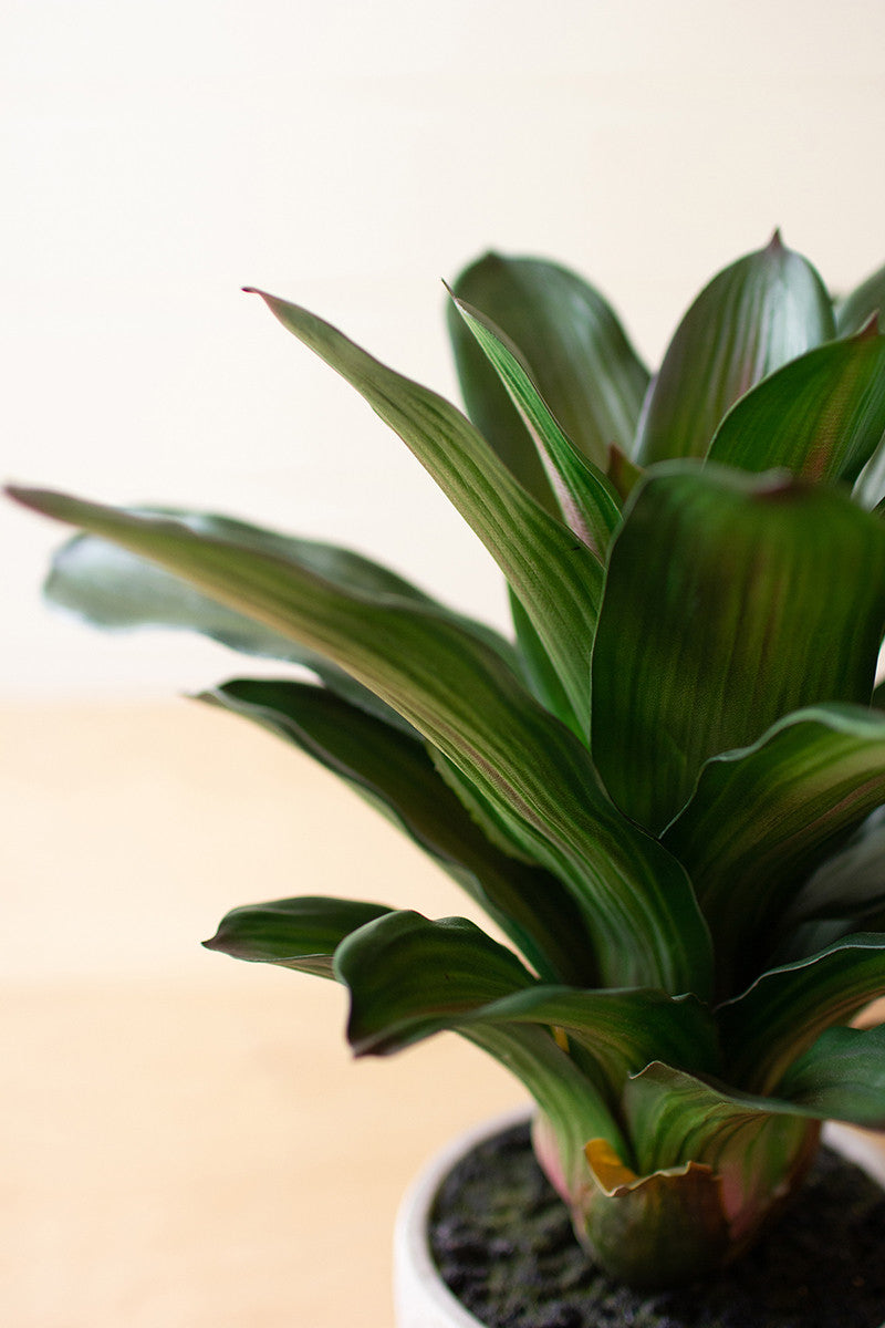 Artificial succulent plant in a ceramic pot By Kalalou-3