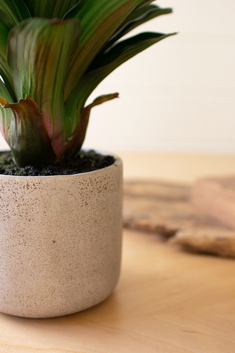 Artificial succulent plant in a ceramic pot By Kalalou-2