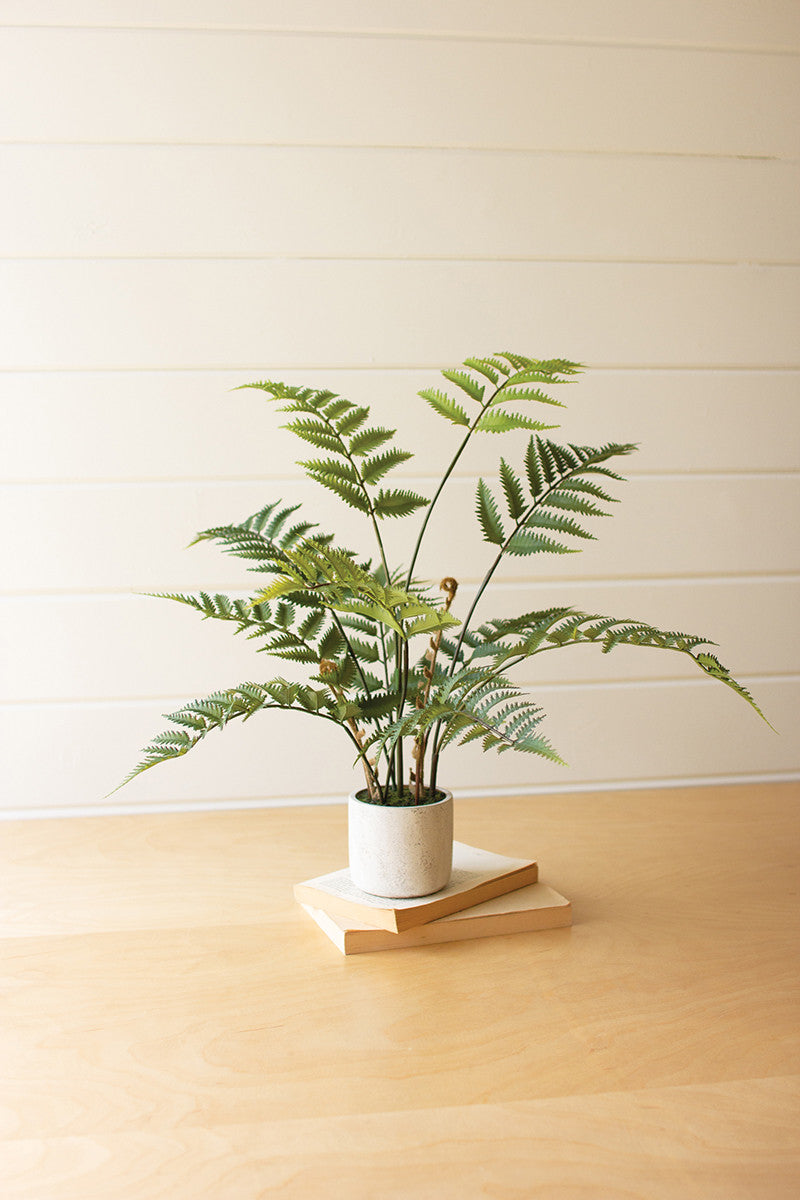 faux fern plant in pot Kalalou Artificial Fern in a Cement Pot