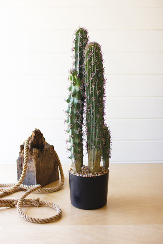 Artificial Cactus In A Black Plastic Pot With Five Stems By Kalalou | Planters, Troughs & Cachepots | Modishstore