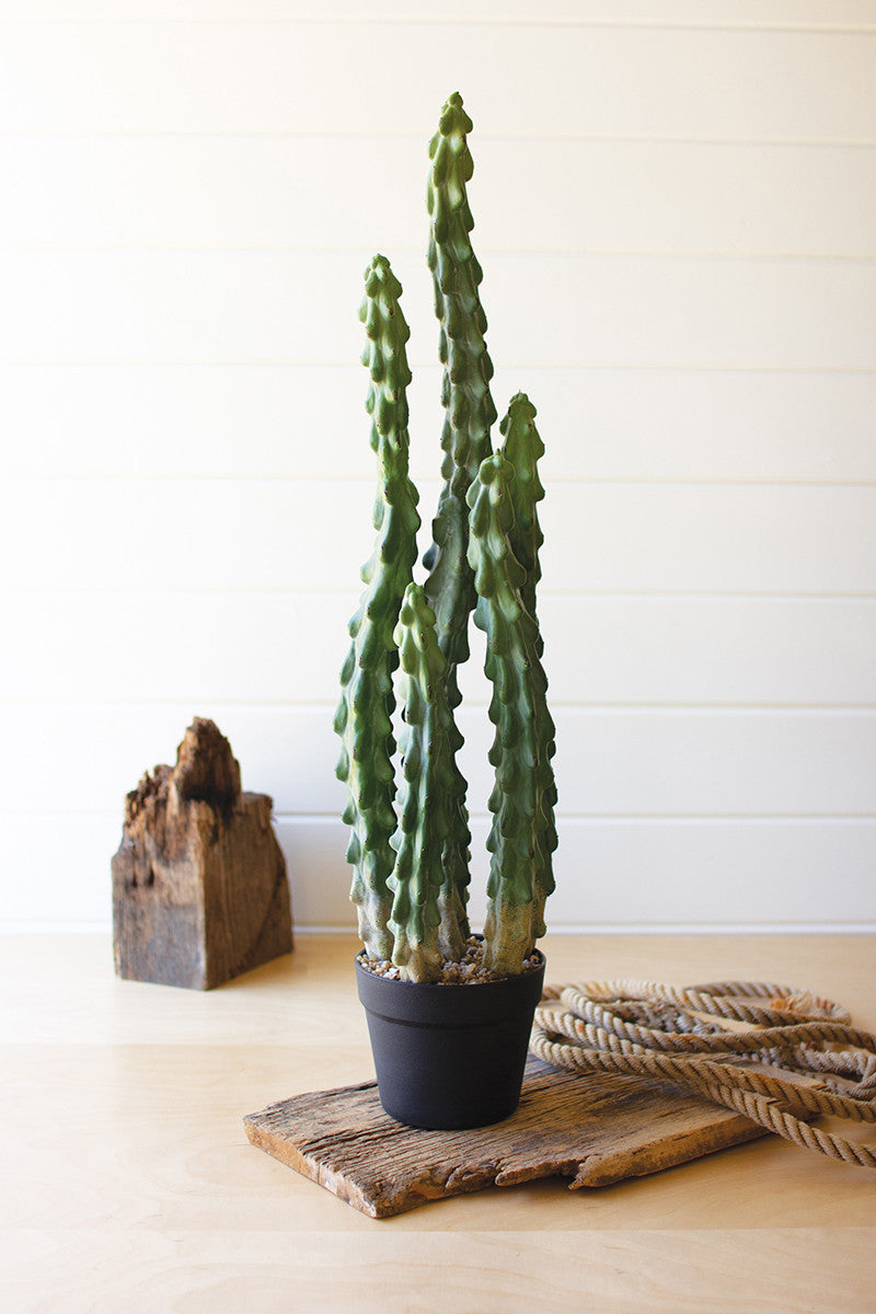Artificial Cactus In A Black Plastic Pot With Six Stems By Kalalou | Planters, Troughs & Cachepots | Modishstore
