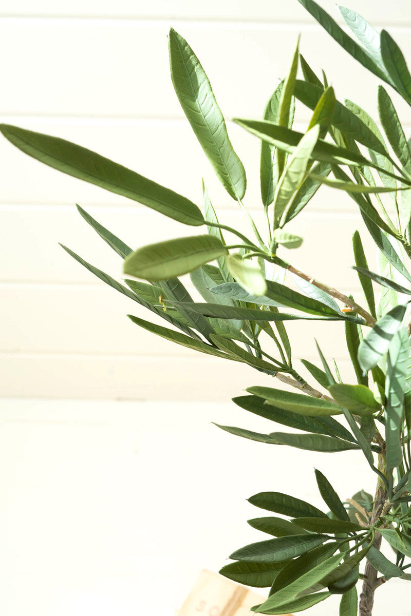 Eucalyptus Tree In A Black Pot By Kalalou | Planters, Troughs & Cachepots | Modishstore - 4