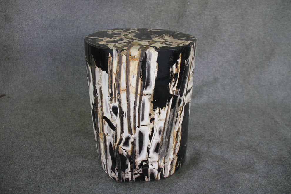 Petrified Wood Log Stool 13 x 11 x 18 - DV.1.111 | Petrified Wood Stools | Modishstore-4