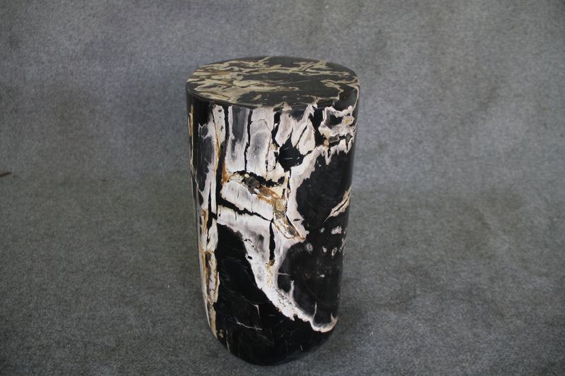 Petrified Wood Log Stool 13 x 11 x 18 - DV.1.111 | Petrified Wood Stools | Modishstore