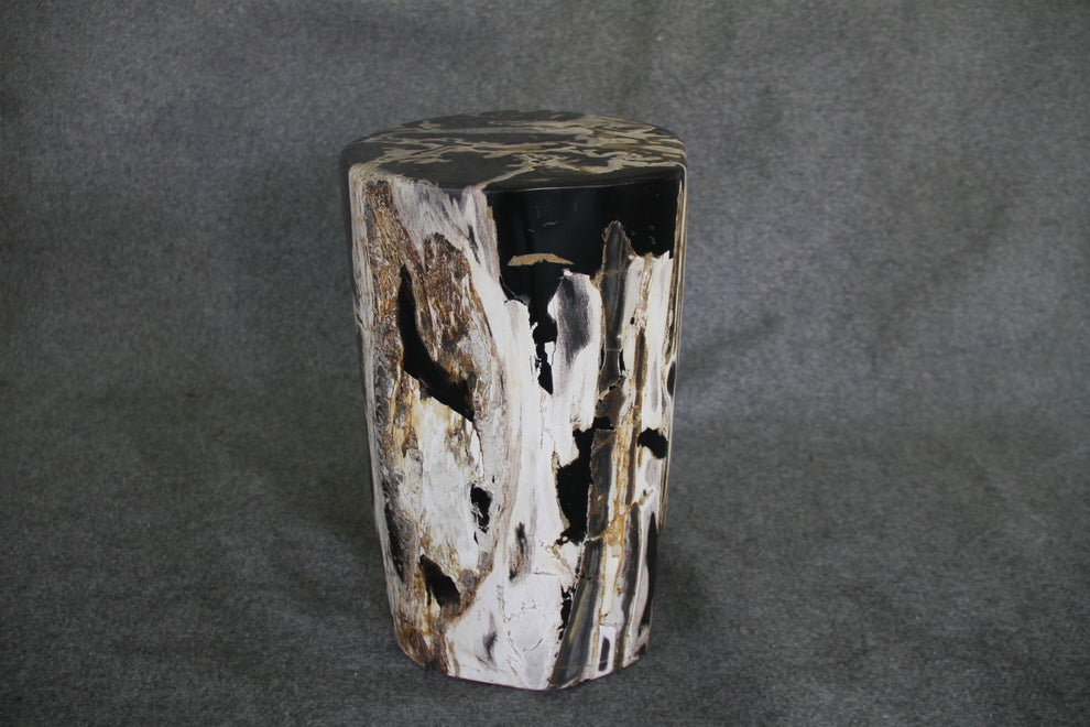 Petrified Wood Log Stool 13 x 11 x 18 - DV.1.111 | Petrified Wood Stools | Modishstore-3